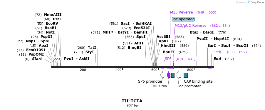 61790_map