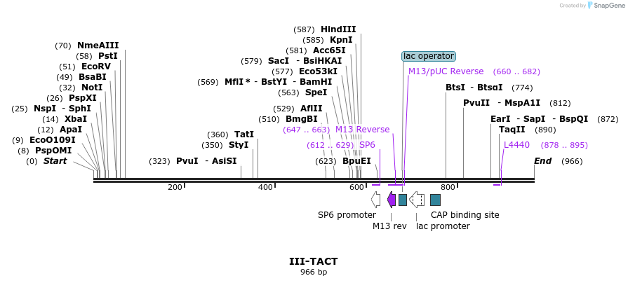61791_map