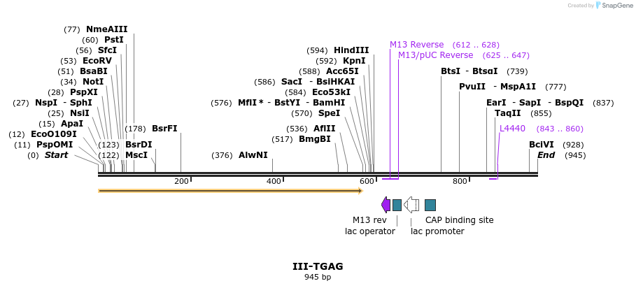 61795_map