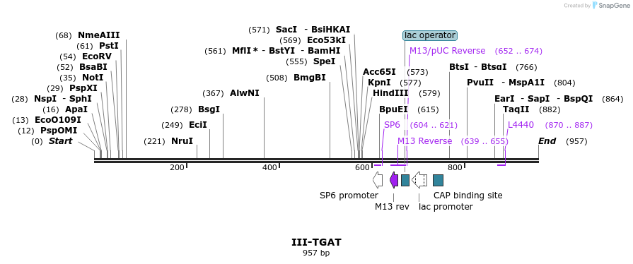 61800_map