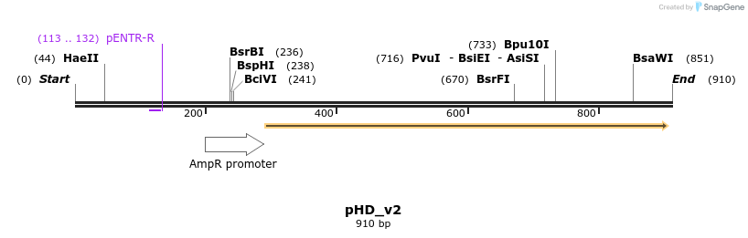 61812_map