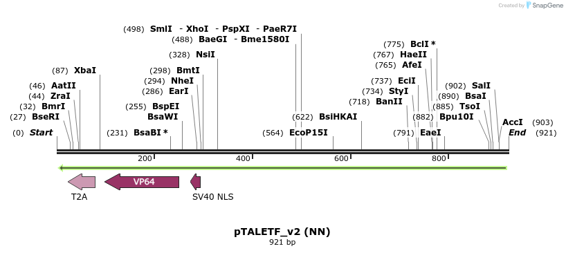 61817_map