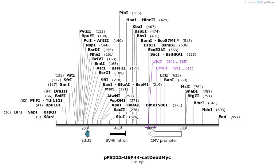 61818_map