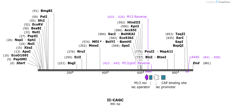 61846_map