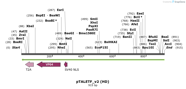 61871_map