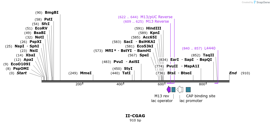 61872_map