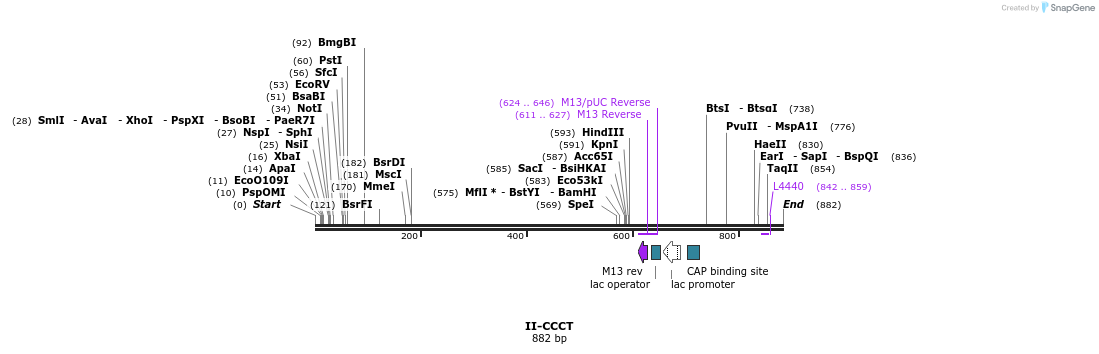 61880_map