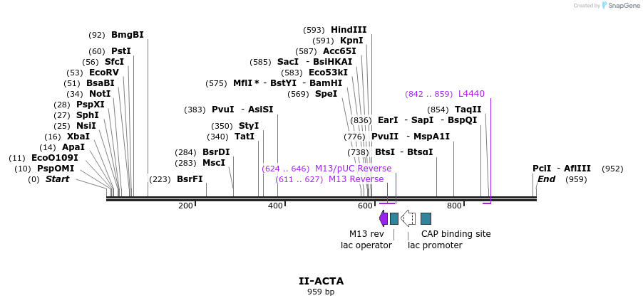 61902_map