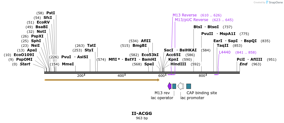 61905_map