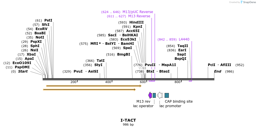 61906_map