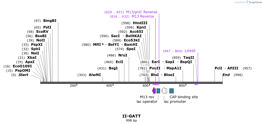 61910_map