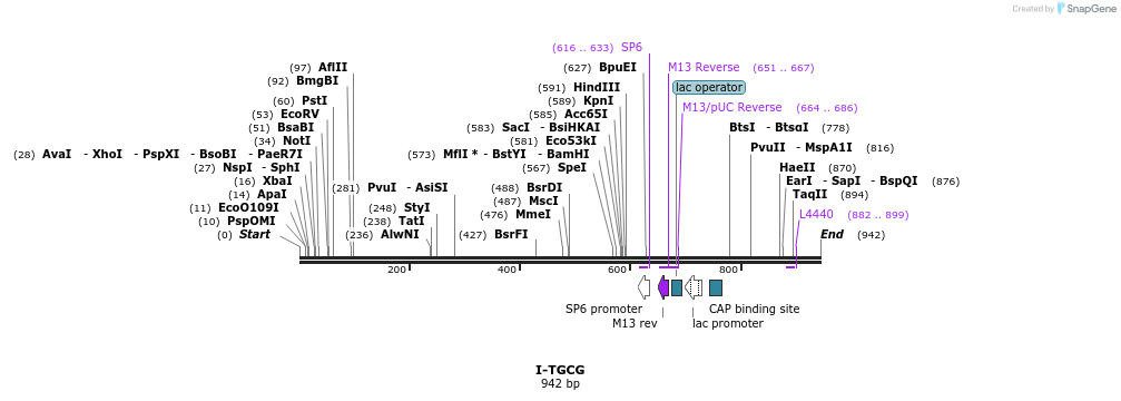 61919_map