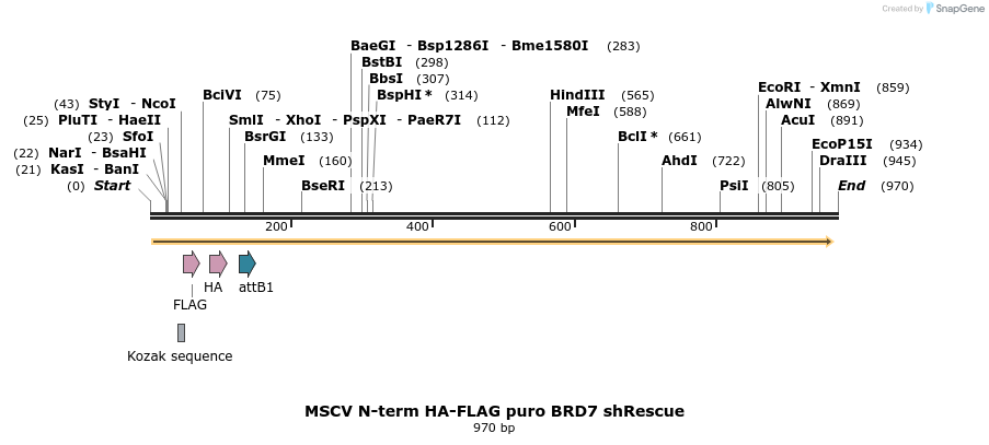 61929_map