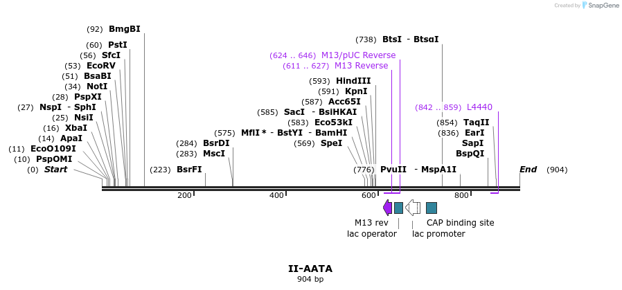 61947_map