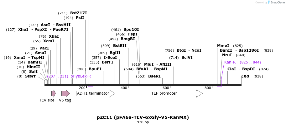 61974_map