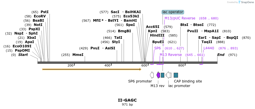 61982_map