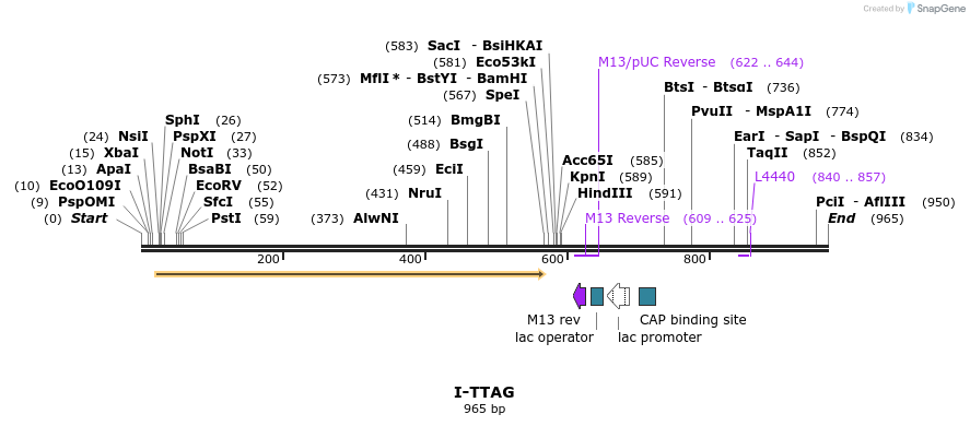 61987_map