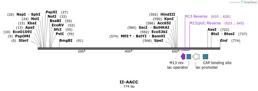 61988_map