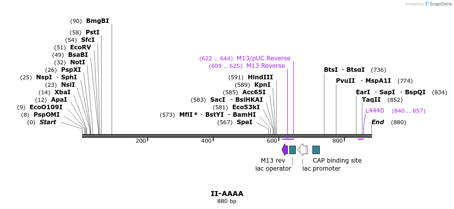 61990_map