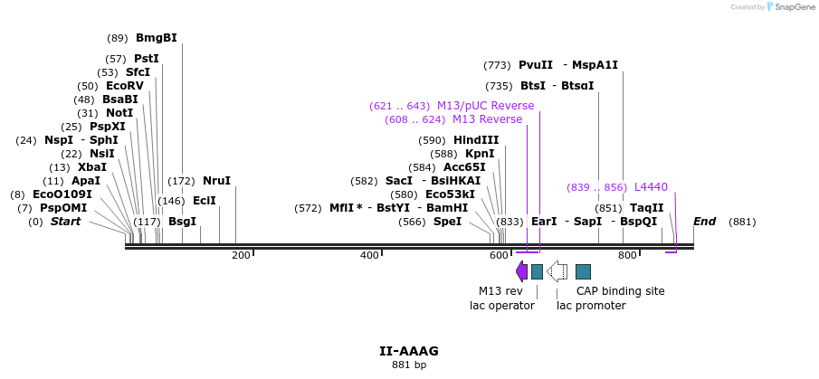 61995_map