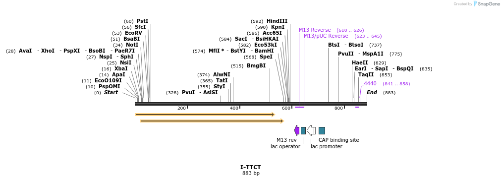 61997_map