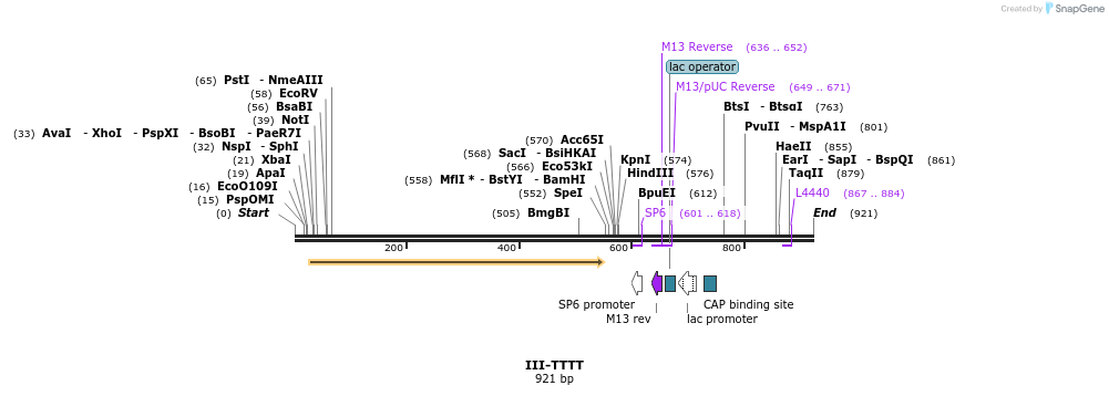 62013_map