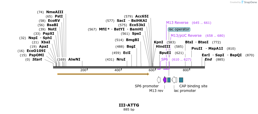 62027_map