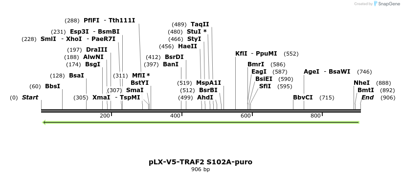 62049_map