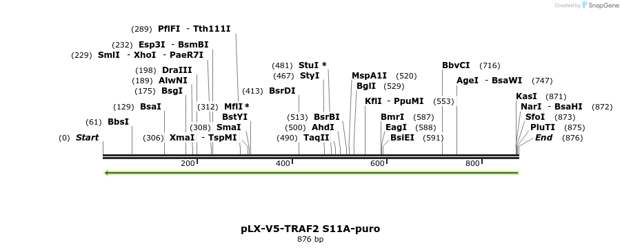 62050_map