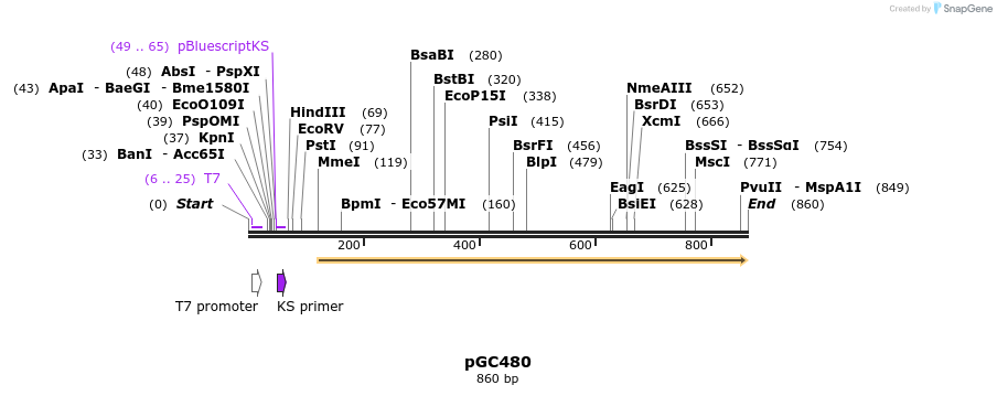 62053_map