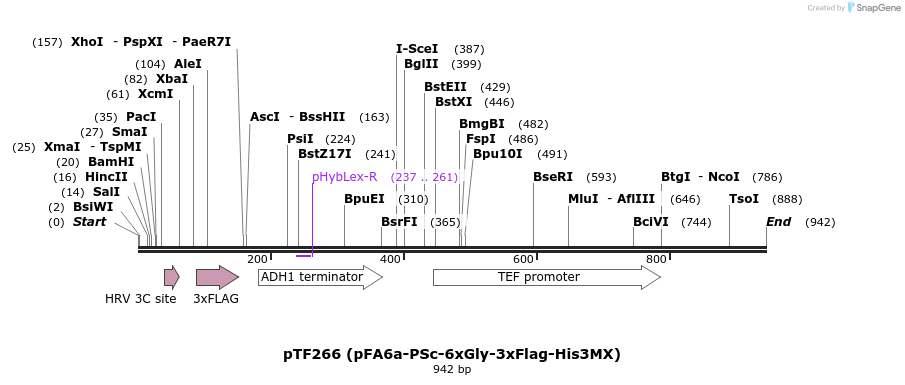 62058_map