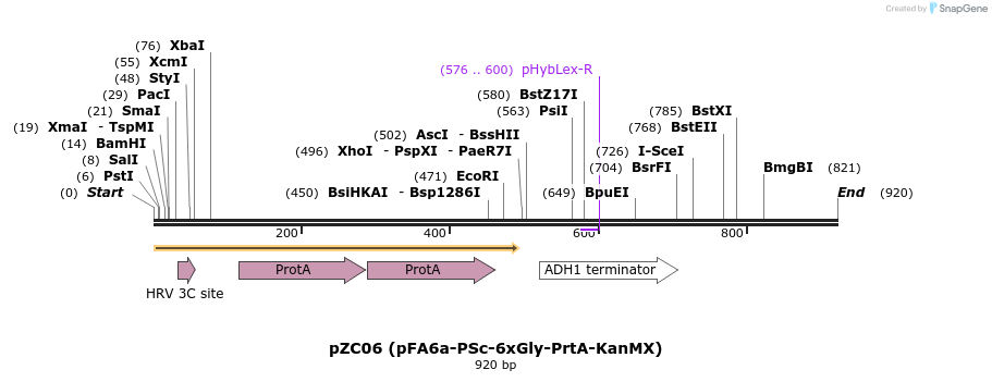 62064_map