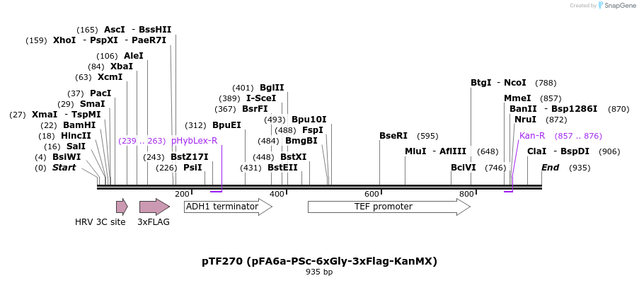 62065_map