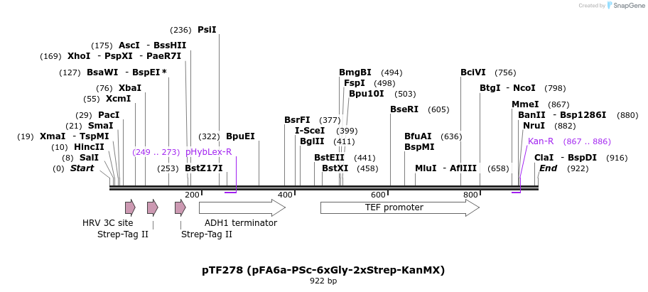 62066_map