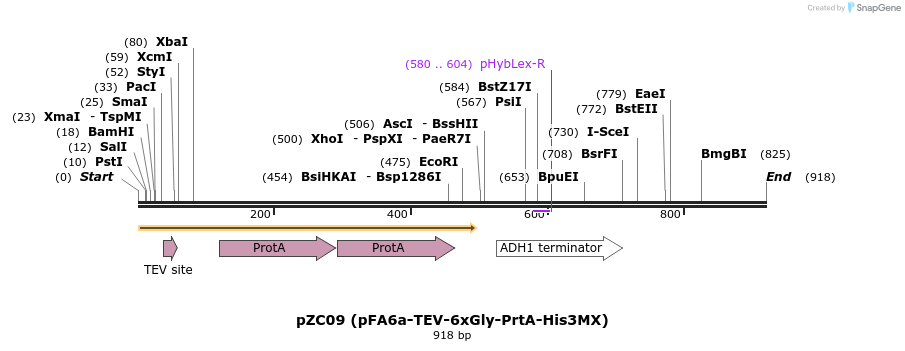 62070_map