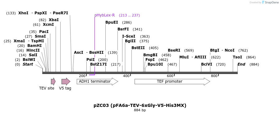 62073_map