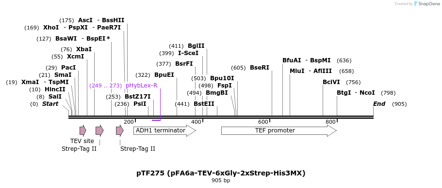 62077_map