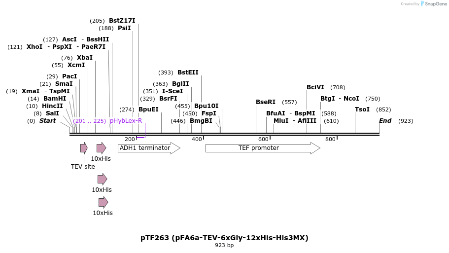 62078_map