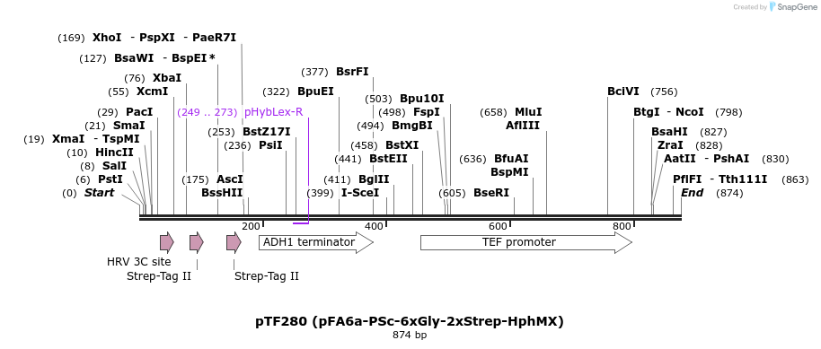62087_map