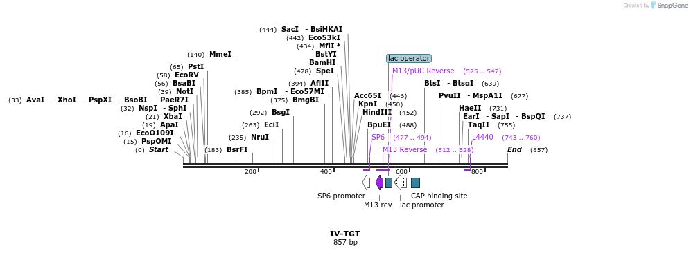 62102_map