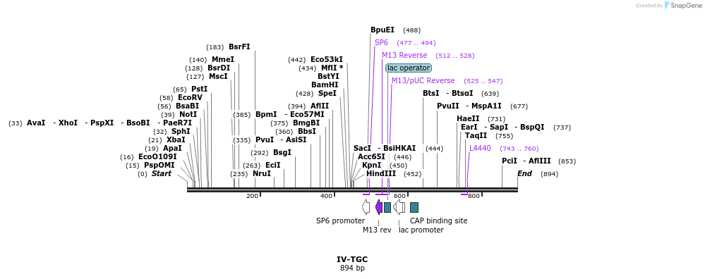 62104_map
