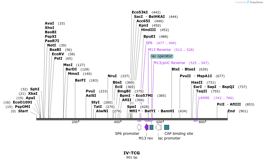 62107_map