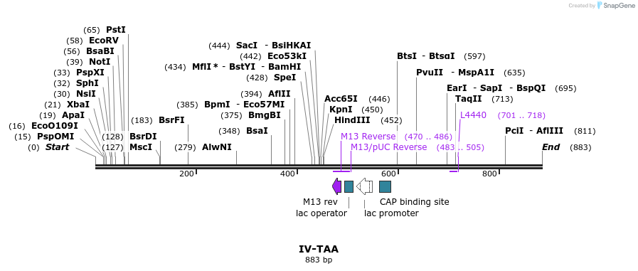62112_map