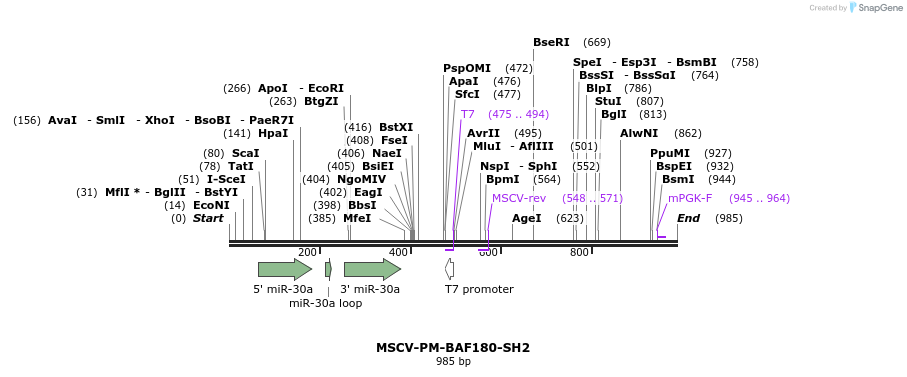 62161_map