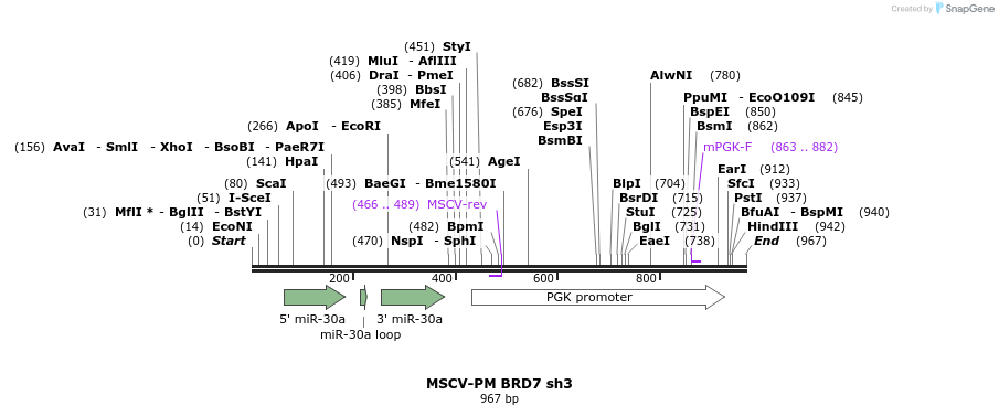 62162_map