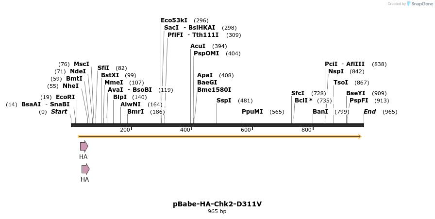 62170_map