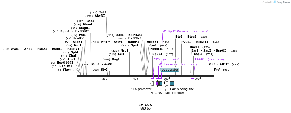 62174_map