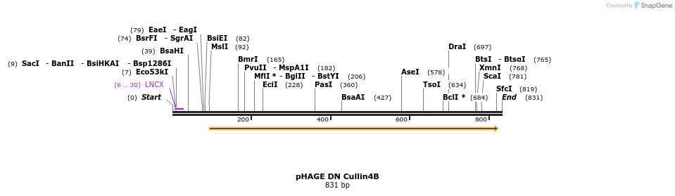 62175_map