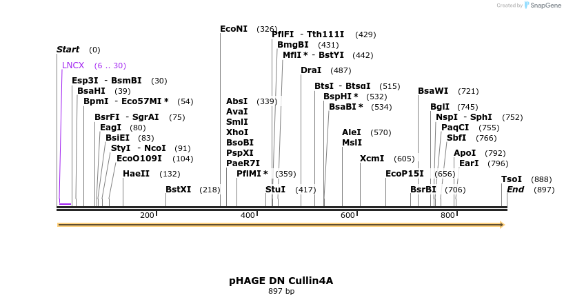 62178_map