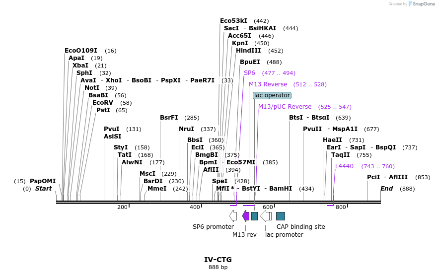 62183_map